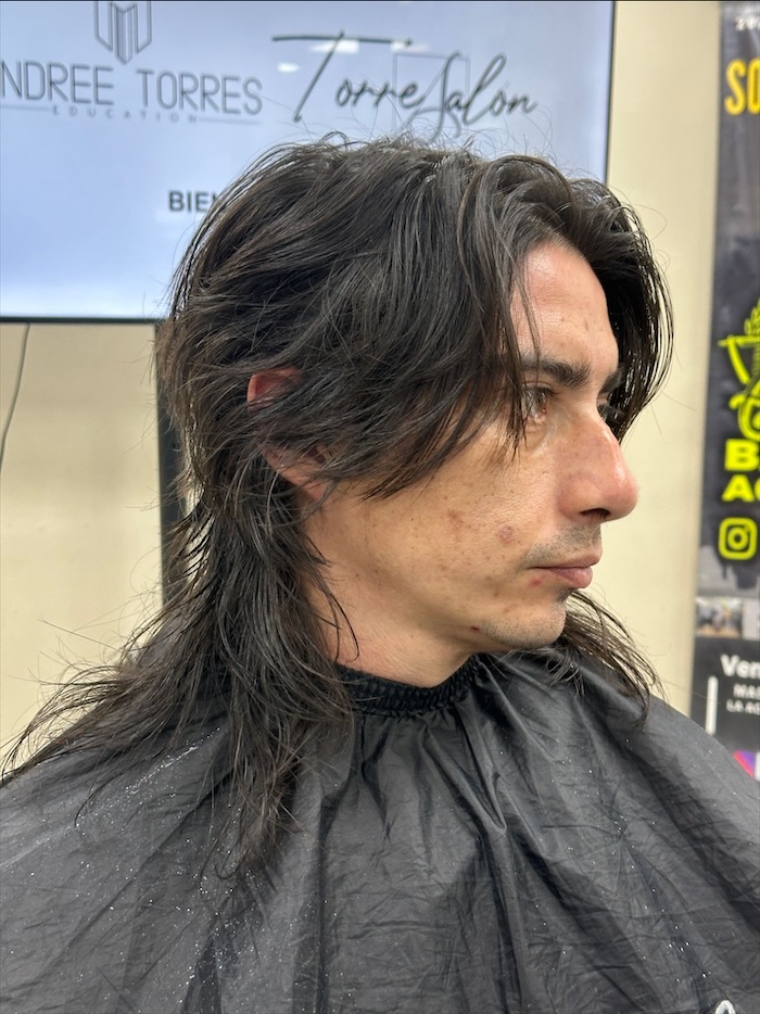 Mullet en capas